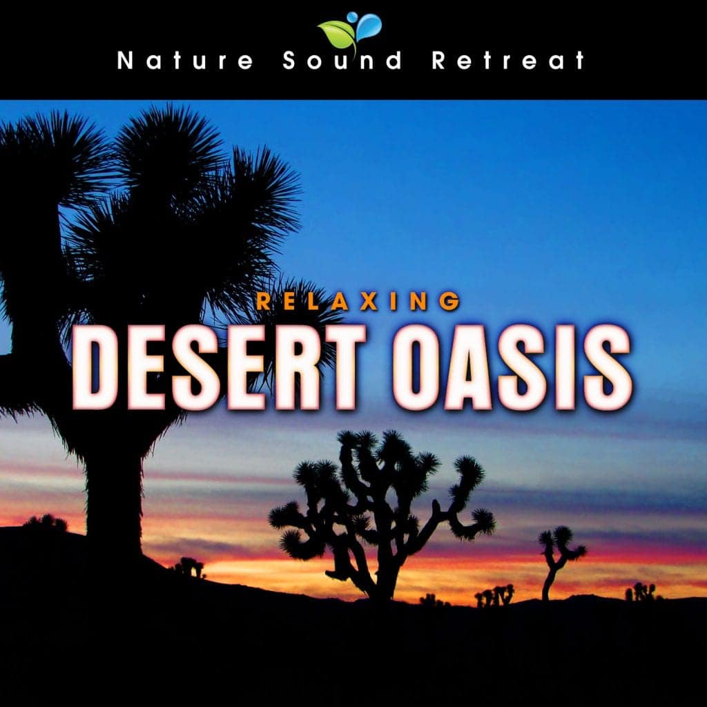 Relaxing Desert Oasis