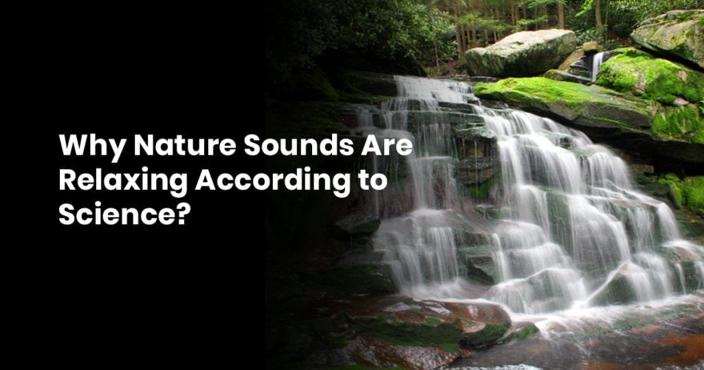 Why Nature Sounds Are Relaxing According to Science