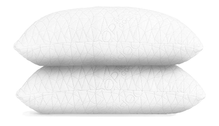 Coop Home Goods King Size Premium Pillow review