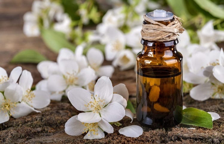 Benefits of Jasmine oil