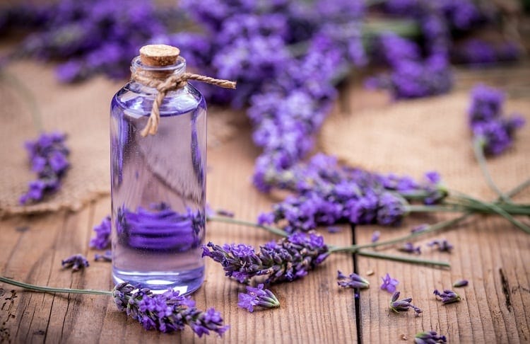 lavander essential oil benefits