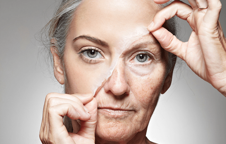 collagen in skin