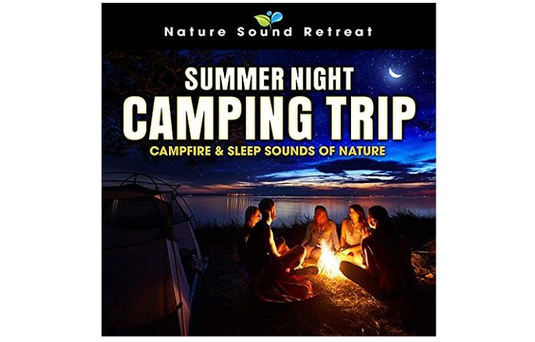 Summer Night Camping Trip Campfire
