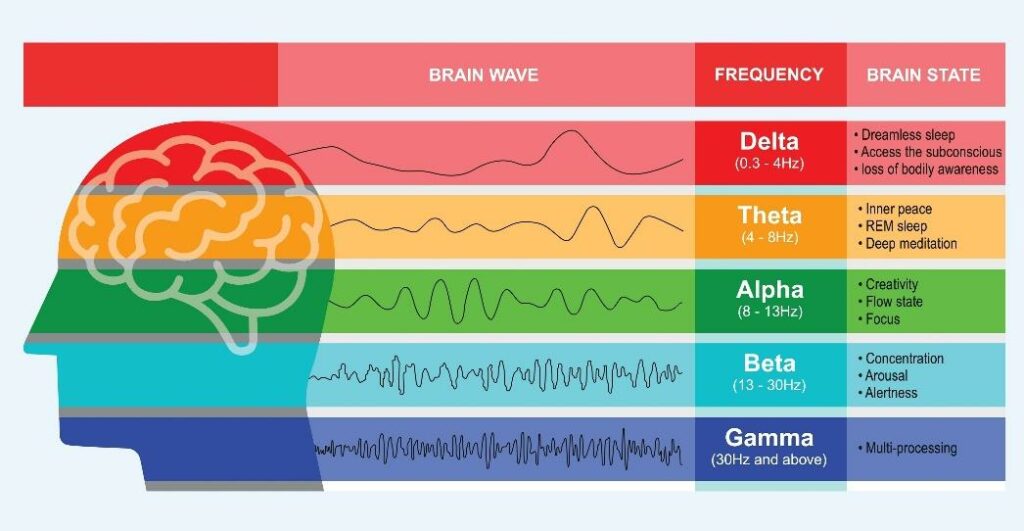 Brain wave function chart