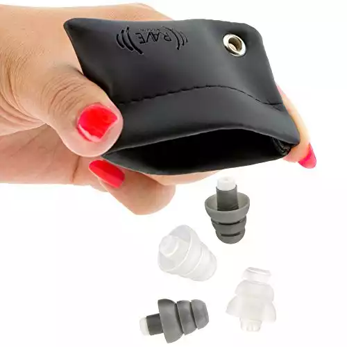 Rave High Fidelity Ear Plugs: HiFi Hearing Protection for Music, Concert; Noise Reducing Earplugs Help Stop Tinnitus; Ear Buds Filter Noise for Ear Protection (Black Case) (2 Pairs - 19/25 Decibel)