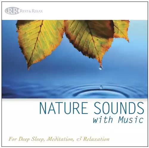 Nature Sounds with Music (Deep Sleep Music, Relaxation, Music for Healing, Music with Nature)