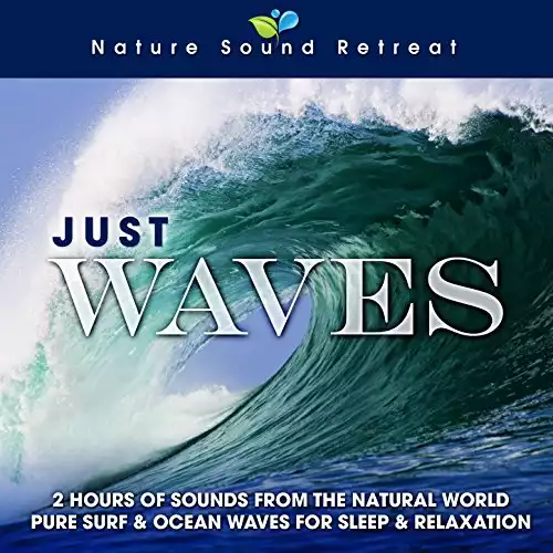 Just Waves: 2 Hours of Sounds from the Natural World (Pure Surf & Ocean Waves for Sleep & Relaxation)